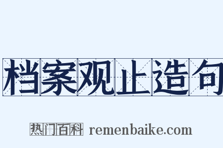 档案观止造句是什么意思的图片